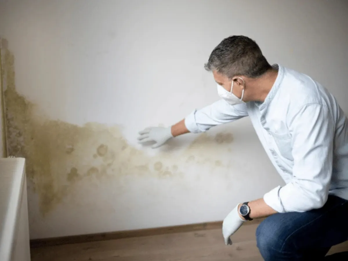 Peinture Anti Humidité à Agadir